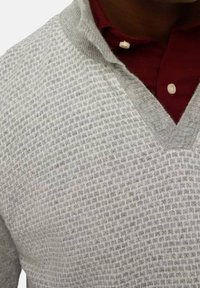 Maglione grigio a maglia con un motivo testurizzato e design a scollo a V, indossato sopra una camicia color marrone bordeaux con colletto e bottoni bianchi.