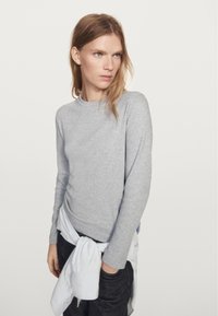 Massimo Dutti LONG SLEEVE - Longsleeve - grey
