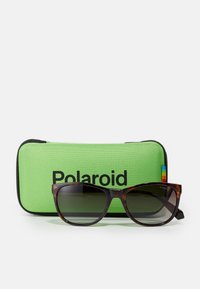 Occhiali da sole tartaruga marrone con lenti scure, caratterizzati da una montatura ampia e un logo, accanto a un astuccio verde texturizzato con zip nera.