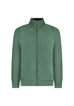 Cars Jeans TAYLEN - Sweater met rits - bottle