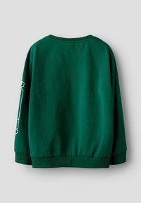 Sweat-shirt vert avec un col rond, des manches longues et des poignets côtelés. Tissu lisse avec un détail de logo sur la manche gauche.
