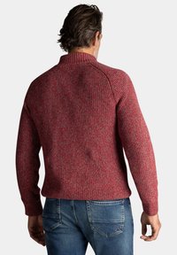 Rode geribde trui met een hoge kraag, vervaardigd uit een gestructureerde brei stof. Draagt met een blauwe spijkerbroek, en toont een casual, fitted silhouet.