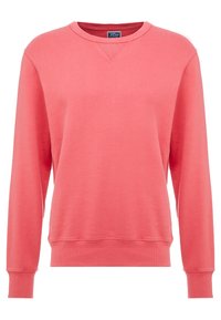 Koraal sweatshirt van zacht stof, met een ronde hals, lange mouwen, geribbelde boorden en een losse pasvorm, met een eenvoudig ontwerp.