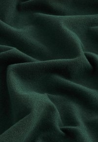 Next REGULAR FIT - Strickpullover - dark green