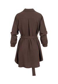 Robe à manches longues marron foncé avec col, taille ceinturée, panneau plissé au dos et jupe légèrement évasée vue de dos.