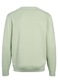 Mintgroene sweatshirt met een ronde halslijn, lange mouwen en geribbelde manchetten en zoom. Gladde textuur en eenvoudig ontwerp, achterkant zichtbaar.