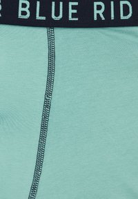 Világoskék boxer alsó sötét derékpánttal, amelyen a "BLUE RIDGE" felirat található. Sima textúra, testhez simuló forma és kontrasztos varrási részletek.