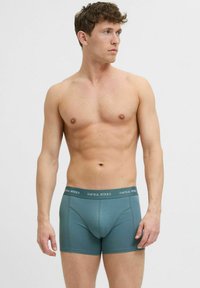 Herenboxershorts in een gedempt teal kleur, gemaakt van zachte stof. Heeft een logo op de tailleband en een aansluitend ontwerp.
