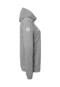 Hoodie gris avec un motif triangulaire sur les épaules, des poignets et un ourlet côtelés. Présente un logo sur la manche gauche et une poche avant.