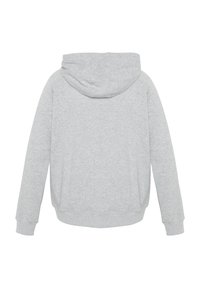 Gray hoodie with a soft texture, featuring a drawstring hood and ribbed cuffs. The back is smooth with no additional details or patterns.