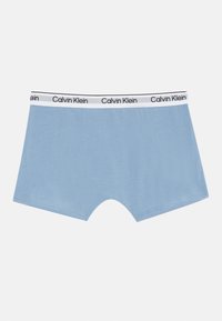Lichtblauwe boxers van zacht stof met een zwart-wit Calvin Klein logo op de tailleband. Ze hebben een traditionele snit met een gladde afwerking.