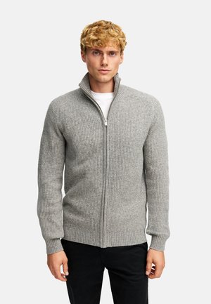 DORSEY ZIP - Vest - lt grey mix