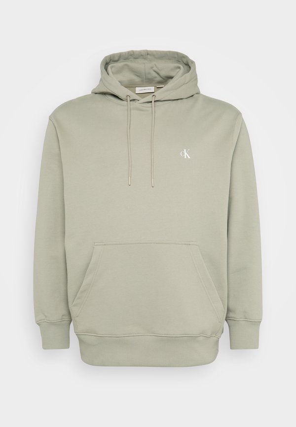 PLUS PAINTED HOODIE - Sweatshirt - laurel oak4