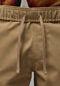 Jordan Shorts - desert camo