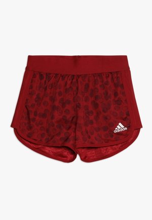 Pantalón corto de deporte - active maroon/maroon/white