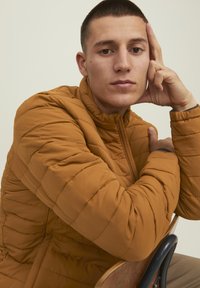 Giacca trapuntata marrone chiaro con colletto alto, caratterizzata da cuciture orizzontali e chiusura con zip. Il tessuto appare morbido e con una texture interessante.