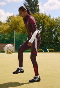 adidas Performance FC BAYERN M�NCHEN TRAINING PANT W - Športne kratke hlače - shadow maroon/red