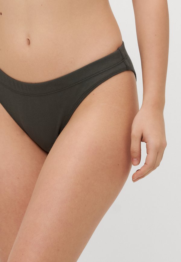 BRIEF - Briefs - beluga4