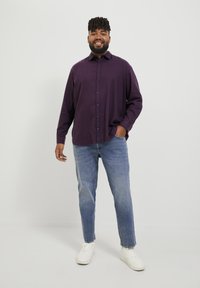 Jack & Jones JJEGINGHAM SHIRT - Camicia - navy blazer