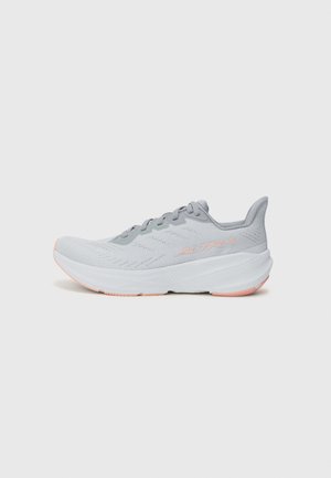 EXPERIENCE FLOW 2 - Chaussures de running - gray