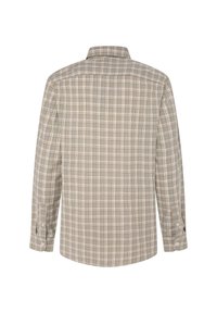 Camicia a maniche lunghe con motivo a quadri in tonalità di verde spento, beige e blu chiaro. Polsini con bottone e colletto classico, con un design dalla vestibilità rilassata.