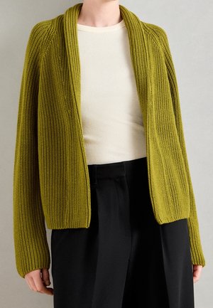 Osoba w oliwkowo-zielonym, dzianinowym kardiganie na kremowym, prążkowanym topie i czarnych spodniach z wysokim stanem, stojąca na neutralnym tle.