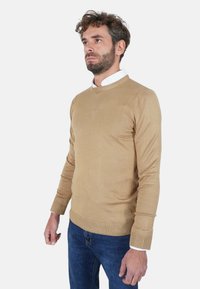 Maglione beige a maglia con scollo rotondo e maniche lunghe, caratterizzato da polsini e orlo a coste, indossato sopra una camicia con colletto.