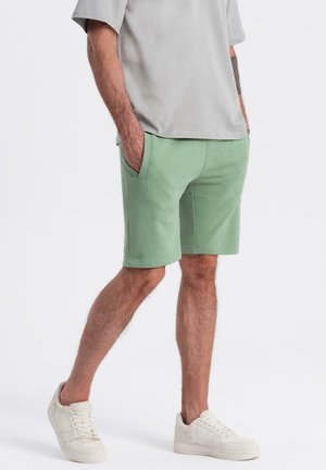 Grønne bomulds shorts med en afslappet pasform, der har sidelommer og lige kant. Sættes sammen med en grå kortærmet skjorte og hvide sneakers.