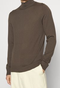Pull en maille marron à col roulé avec manches longues, dotée de poignets et d'un ourlet côtelés, d'une texture lisse et d'une coupe ajustée, assortie à un pantalon de couleur claire.