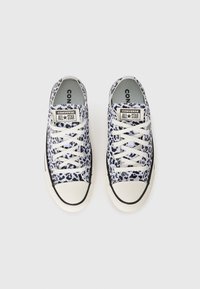 Sorte og hvite leopardmønstrede kanvas-snøresko med hvite snøring, gummitåhette og signatur Converse All Star-merker på tungen.