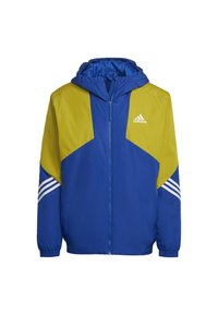 adidas Performance BTS HD JKT - Χειμωνιάτικο μπουφάν - blue