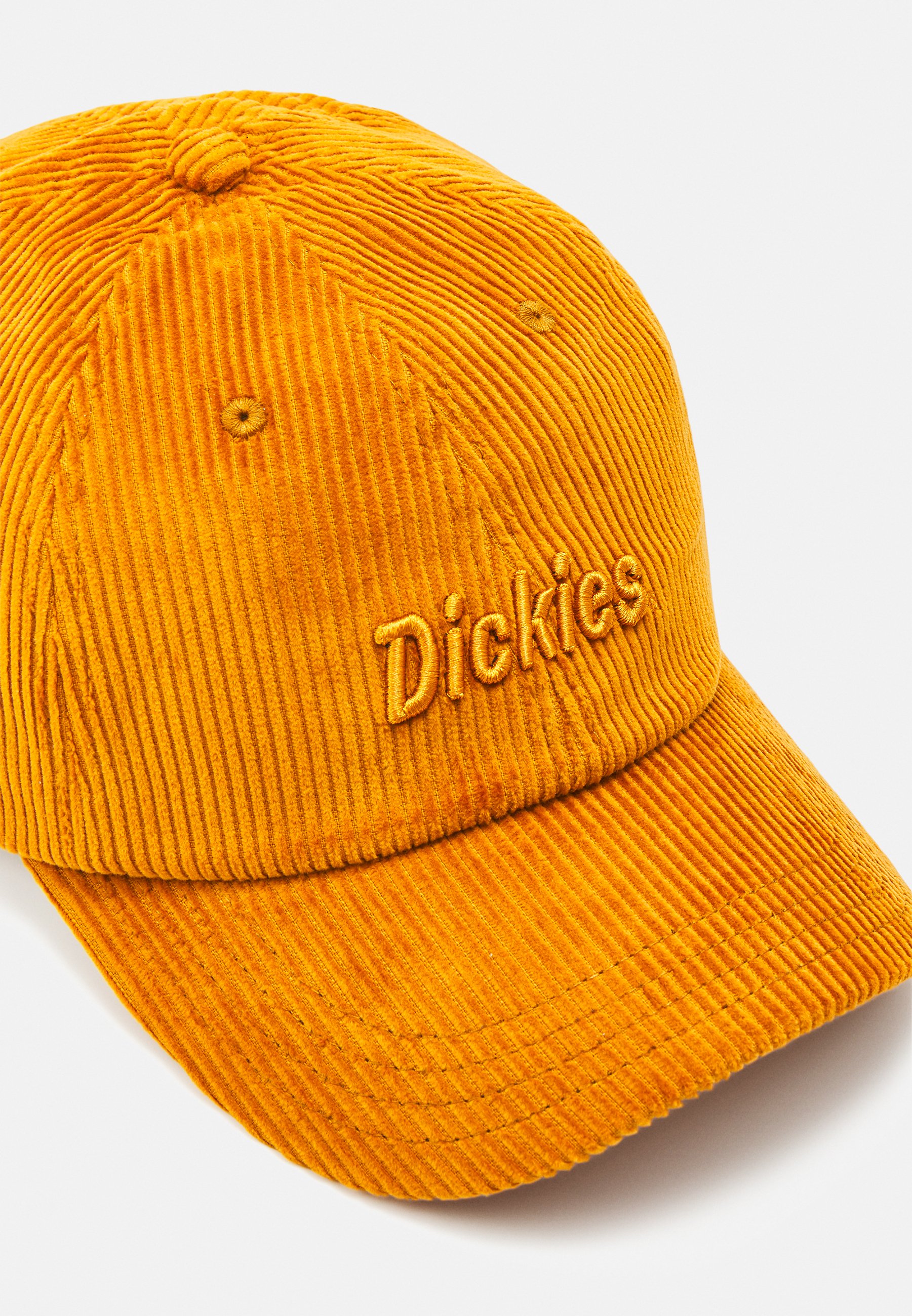 Dickies HIGGINSON UNISEX - Cap 