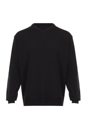 Felpa nera con scollo a V, maniche lunghe, polsini e orlo a costine. Realizzata in un tessuto morbido con una texture liscia. Senza fantasie o decorazioni.