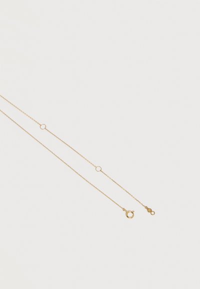 Λεπτό χρυσό κολιέ αλυσίδας με κυκλικούς κρίκους και κούμπωμα με ελατήριο σε απλό λευκό φόντο.