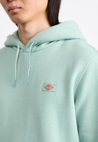 Mint green hoodie featuring a drawstring hood, soft texture, and a rectangular logo patch with multicolored details on the chest.