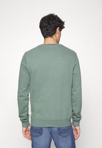 Sudadera de algodón verde con mangas largas, cuello redondo y puños acanalados; textura suave y diseño minimalista; vista desde la parte de atrás.