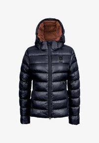 Nevybráno, blue-dark rust wbldc ru