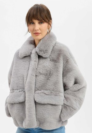 CARLY - Winterjas - grau