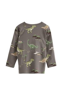 Grå tröja med långärmar med flerfärgade dinosaurie- och vulkanmönster. Tillverkad av mjuk bomull med rund halsringning och avslappnad passform.