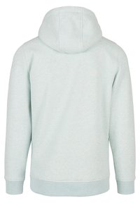 Felpa in misto cotone di colore azzurro chiaro con una texture morbida, dotata di cappuccio, maniche lunghe e polsini e orlo a costine. Vista posteriore mostrata.