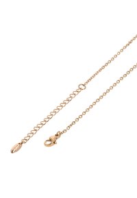 Ketting van rosegoud met een verfijnd schakelontwerp, voorzien van een karabijnsluiting en een gladde ovale hanger.