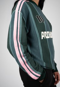 Personne portant un pull rayé vert et bleu avec des rayures roses sur la manche et le numéro 10 ainsi que le texte "PRO" sur la poitrine.