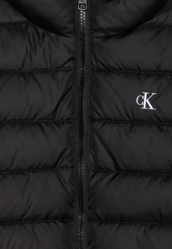 LOGO JACKET - Winter jacket2