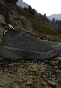 Chaussure de trail running Terrex noire avec semelles Gore-Tex et Lightstrike reposant sur un sentier montagneux rocheux en extérieur.