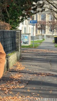 Rudas paltas, akmeninė siena, pilkas šaligatvis, pasklidę sausi lapai, gatvės ženklai, žalia žolė ir perdirbimo šiukšliadėžė miesto vaizdui.