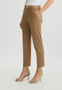 Pantalons marron ajustés avec poches latérales, une fermeture éclair à l'avant et un bouton, associés à des sandales à talons hauts à fines lanières au motif.