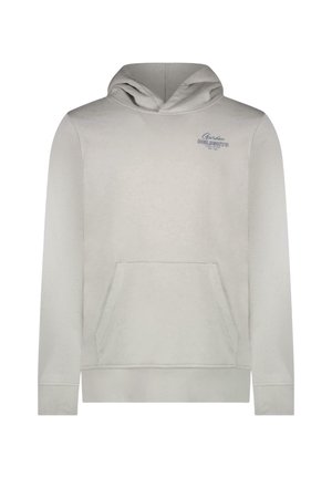Lichtgrijze hoodie met een voorvak. Voorzien van een capuchon met trekkoord en een "Garden Delights" logo in blauw gedrukt op het borstgebied.