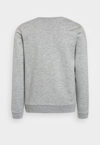 Sudadera gris de manga larga, hecha de tela suave. Presenta puños y dobladillo de canalé, y un diseño de cuello redondo simple. Se muestra la vista posterior.