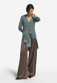 Ljust teal cardigan med V-ringning, knäppning framtill och långa ärmar, i kombination med lösa bruna satintrousers. Subtila texturer och draperingar.