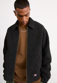 Dickies EISENHOWER - Giacca in pile - black